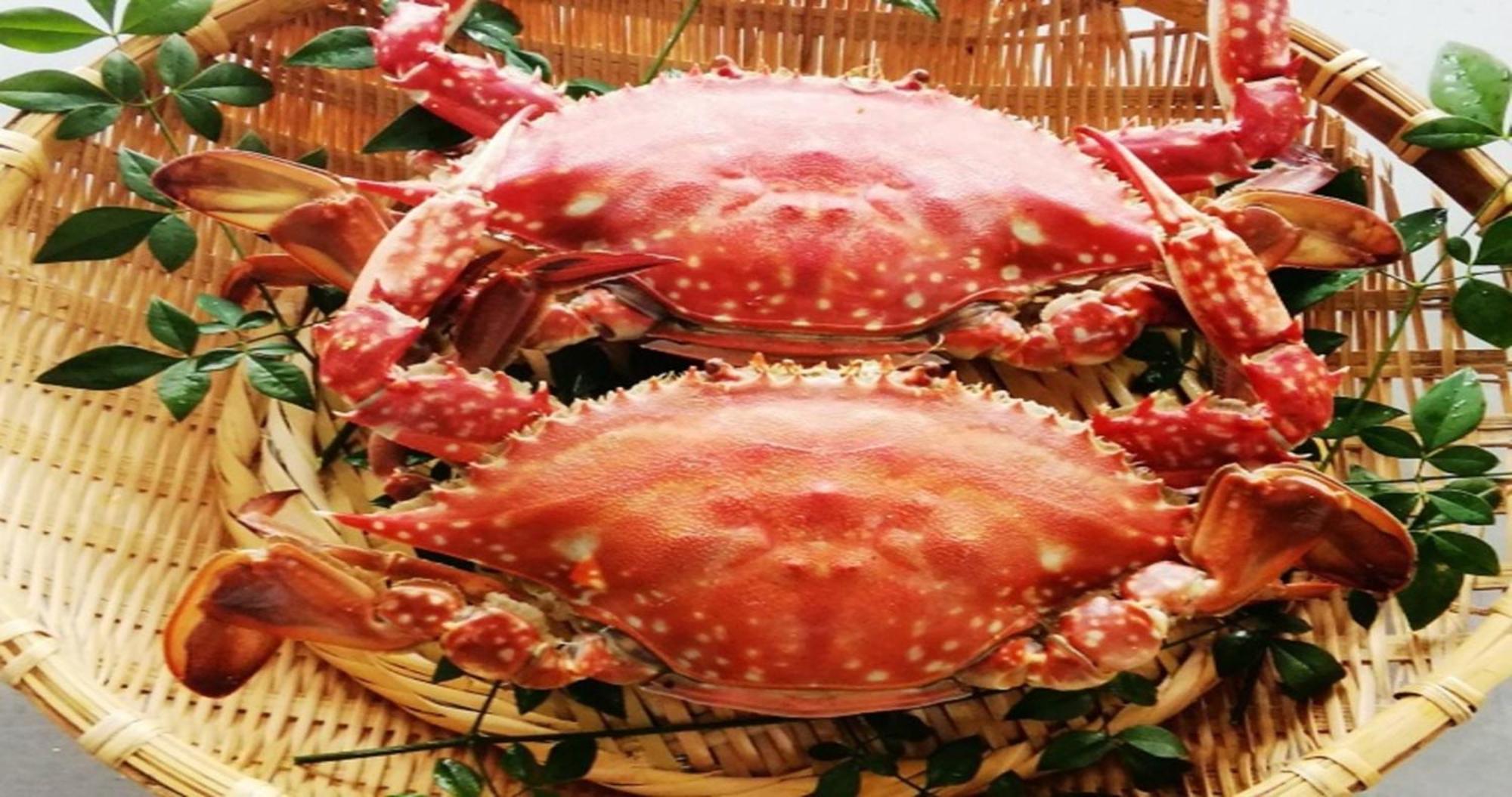 Komatsuya Nagisakan Kami Amakusa Zewnętrze zdjęcie